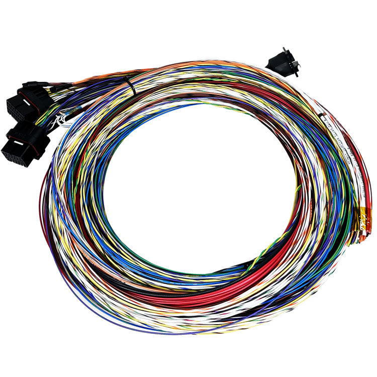 M800 BASIC HARNESS, 10' UNTERM